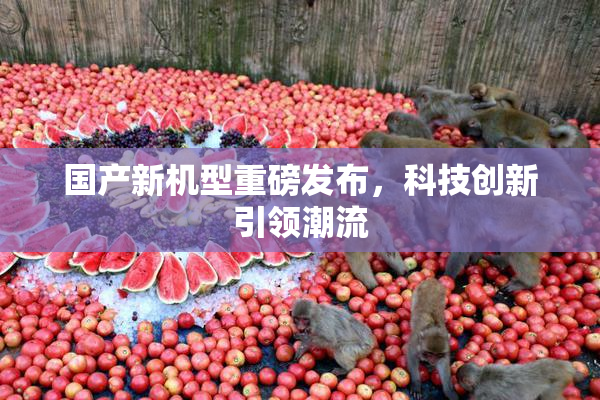 国产新机型重磅发布，科技创新引领潮流
