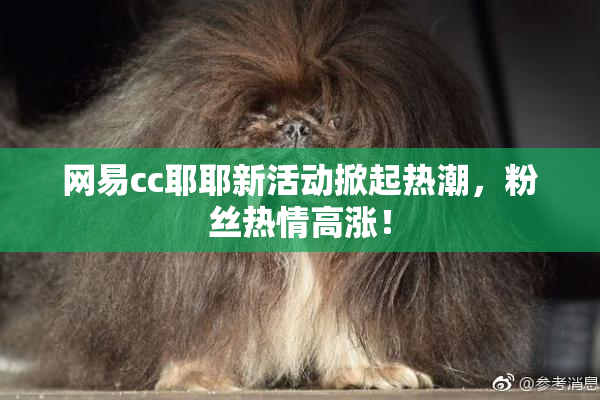网易cc耶耶新活动掀起热潮，粉丝热情高涨！