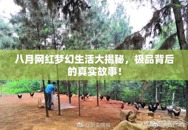 八月网红梦幻生活大揭秘，极品背后的真实故事！