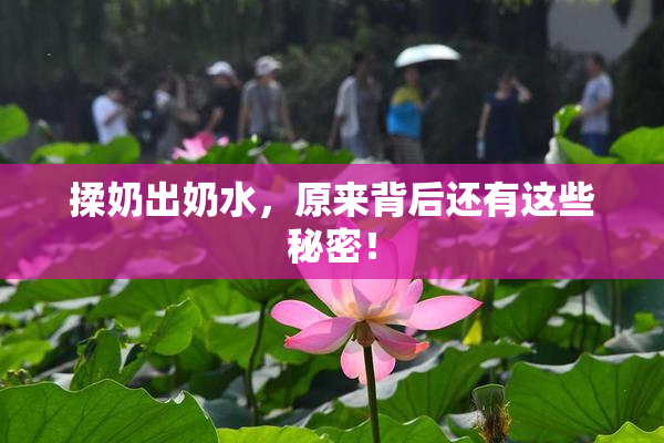 揉奶出奶水，原来背后还有这些秘密！