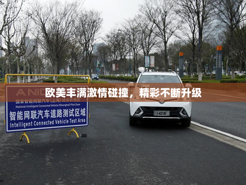 欧美丰满激情碰撞，精彩不断升级