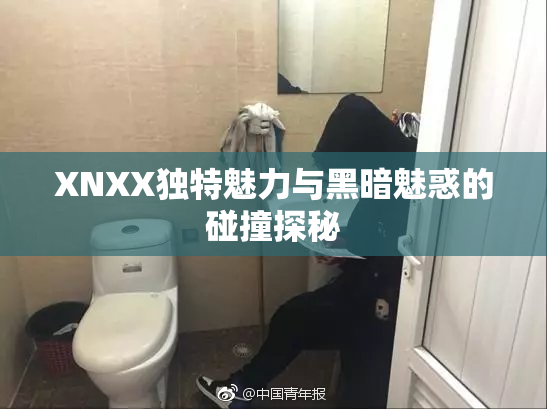 XNXX独特魅力与黑暗魅惑的碰撞探秘