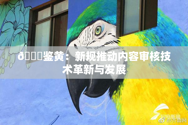 🔞鉴黄：新规推动内容审核技术革新与发展