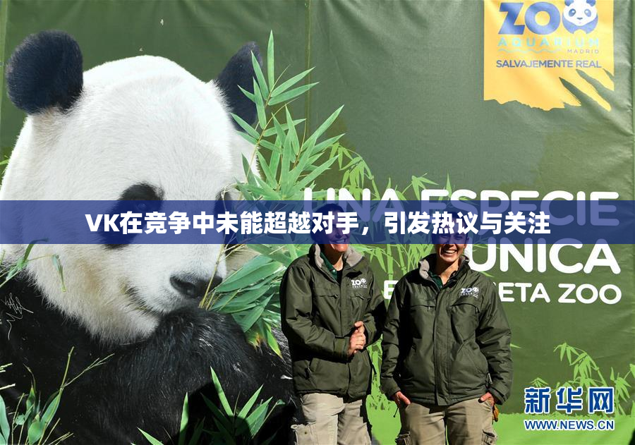 VK在竞争中未能超越对手，引发热议与关注