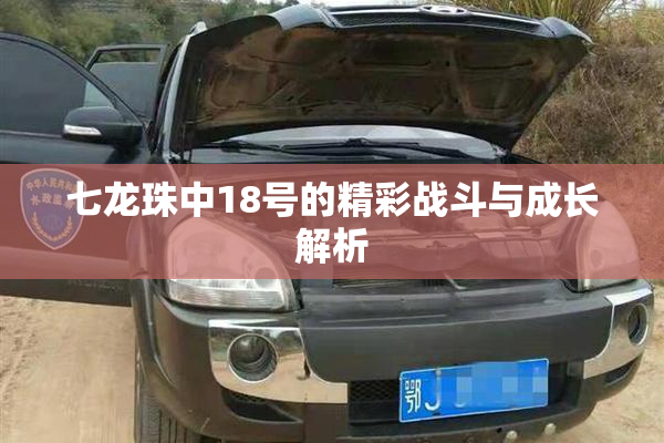 七龙珠中18号的精彩战斗与成长解析