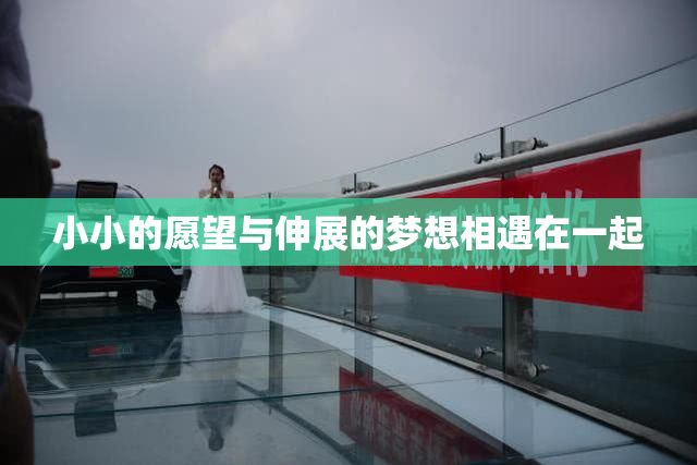 小小的愿望与伸展的梦想相遇在一起