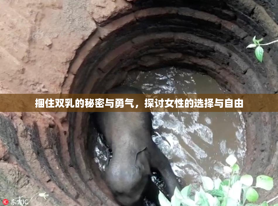 捆住双乳的秘密与勇气，探讨女性的选择与自由