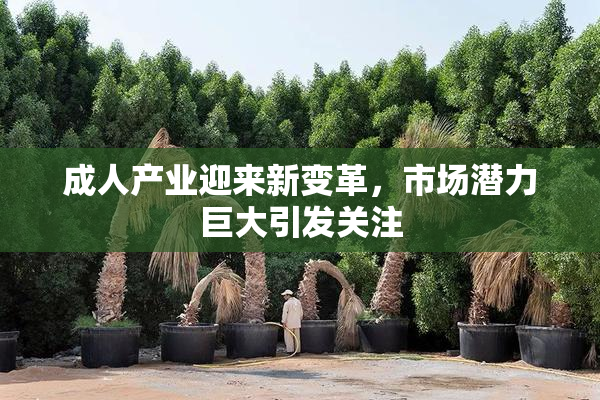 成人产业迎来新变革，市场潜力巨大引发关注