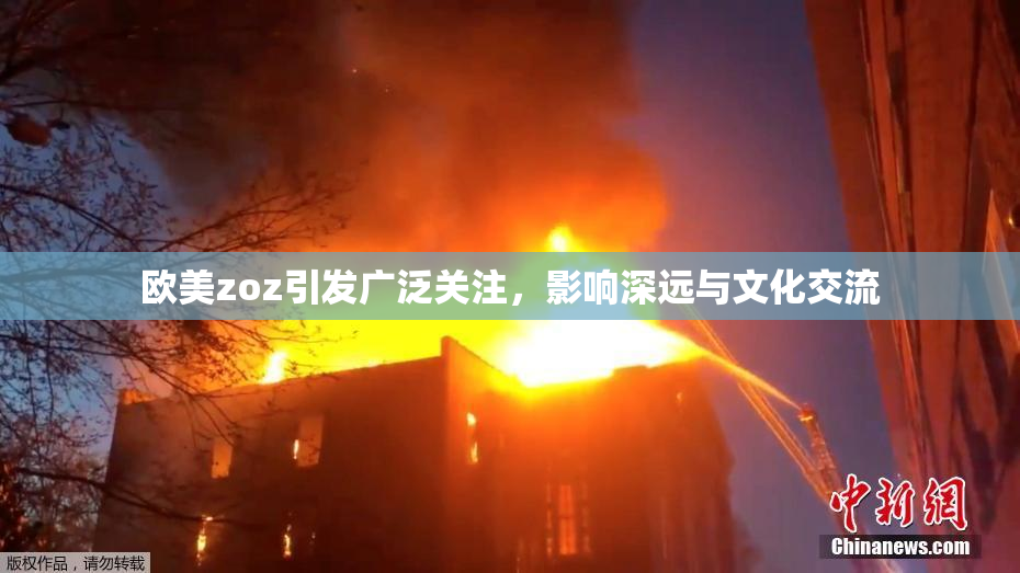 欧美zoz引发广泛关注，影响深远与文化交流