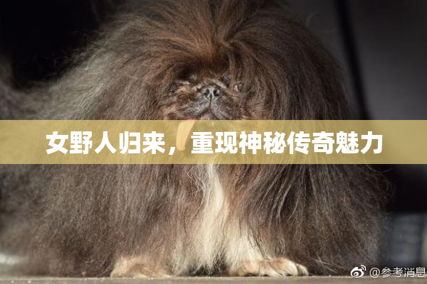 女野人归来，重现神秘传奇魅力