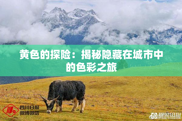 黄色的探险：揭秘隐藏在城市中的色彩之旅