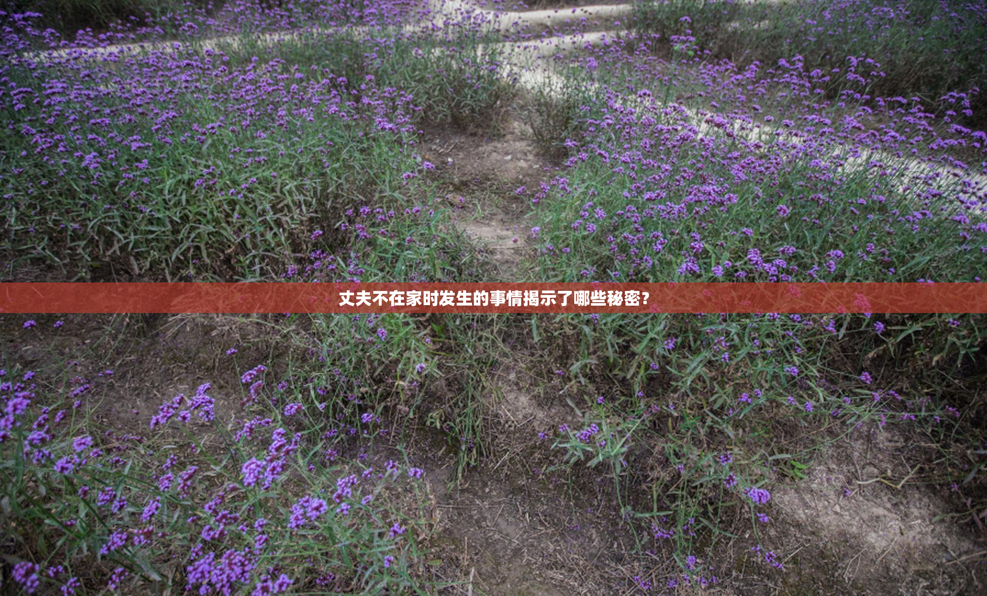 丈夫不在家时发生的事情揭示了哪些秘密？