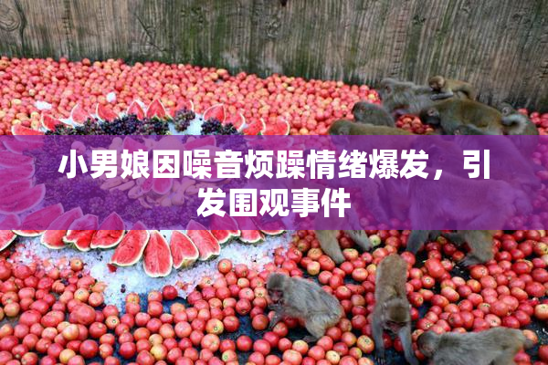 小男娘因噪音烦躁情绪爆发，引发围观事件