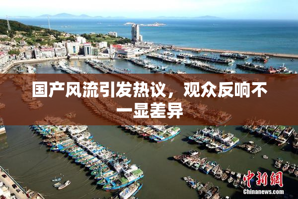 国产风流引发热议，观众反响不一显差异