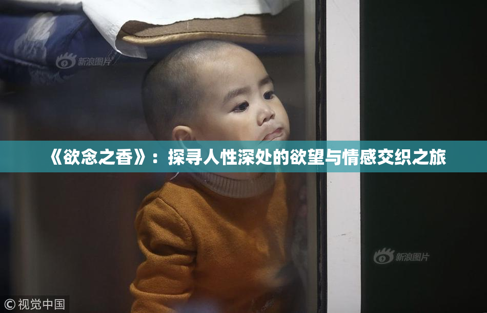 《欲念之香》：探寻人性深处的欲望与情感交织之旅