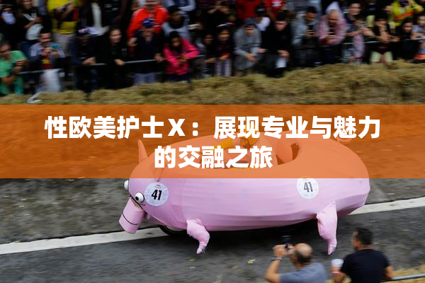 性欧美护士Ⅹ：展现专业与魅力的交融之旅