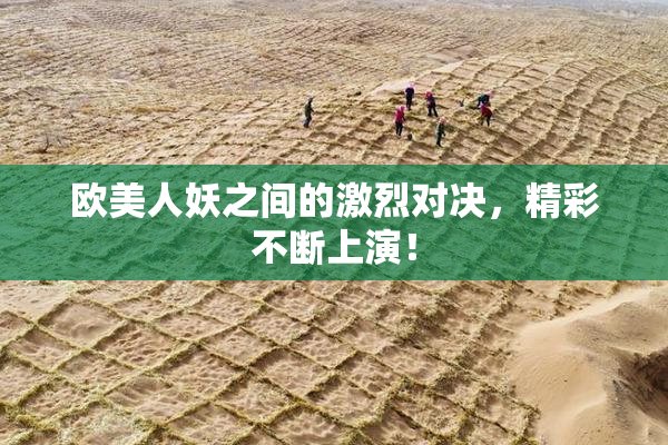 欧美人妖之间的激烈对决，精彩不断上演！