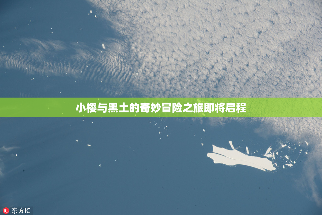小樱与黑土的奇妙冒险之旅即将启程