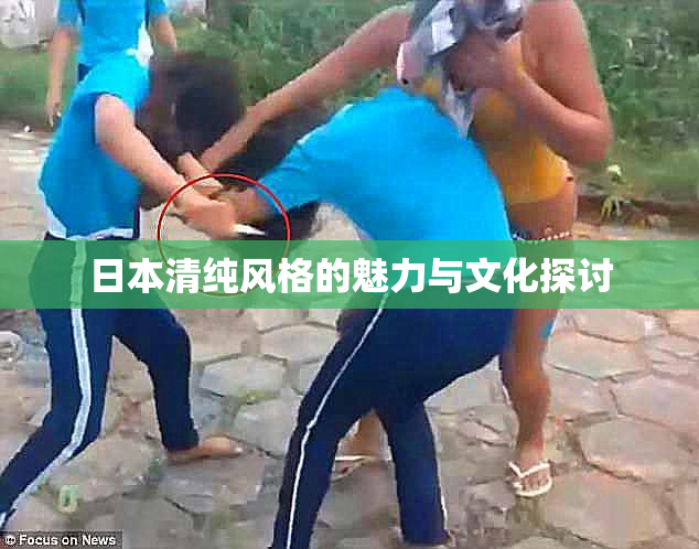 日本清纯风格的魅力与文化探讨