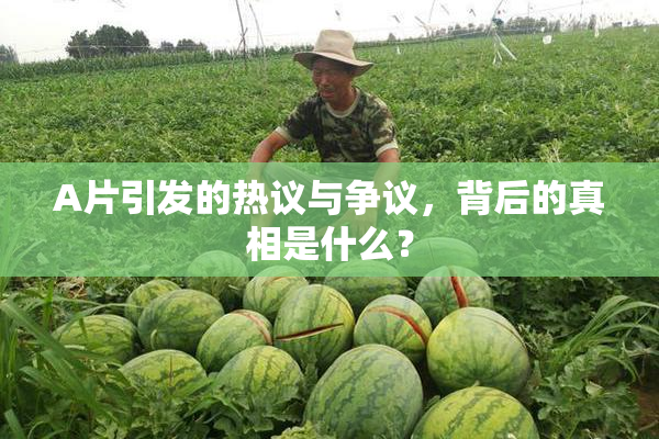A片引发的热议与争议，背后的真相是什么？