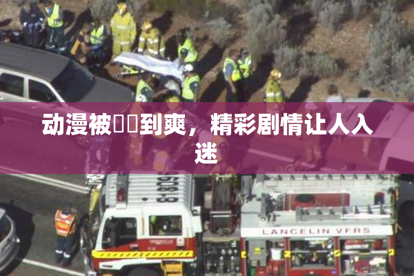 动漫被❌‌到爽，精彩剧情让人入迷
