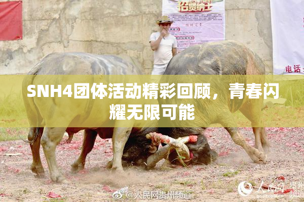 SNH4团体活动精彩回顾，青春闪耀无限可能