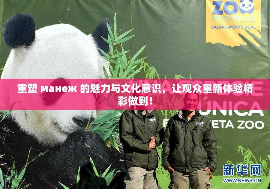重塑 манеж 的魅力与文化意识，让观众重新体验精彩做到！