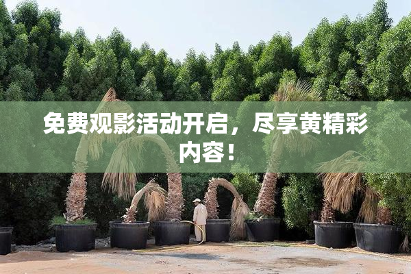 免费观影活动开启，尽享黄精彩内容！