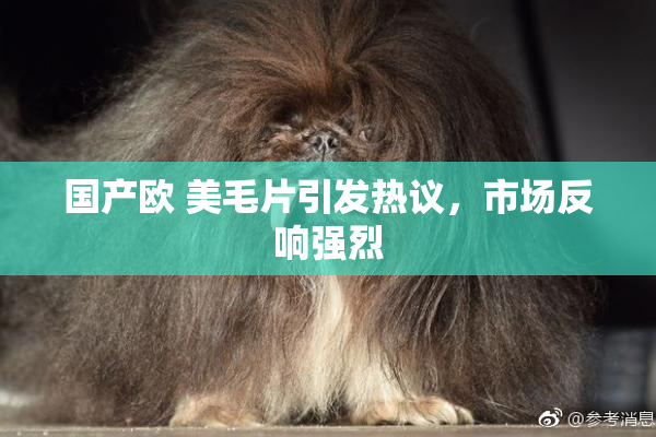 国产欧 美毛片引发热议，市场反响强烈