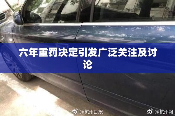 六年重罚决定引发广泛关注及讨论