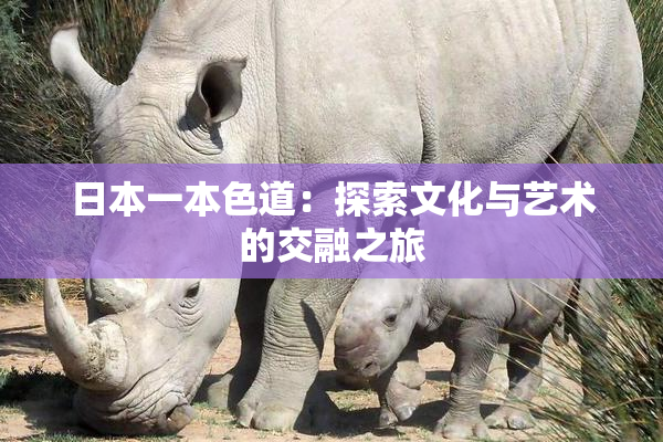 日本一本色道：探索文化与艺术的交融之旅