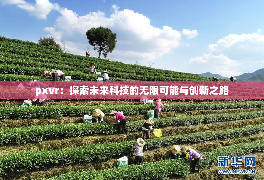 pxvr：探索未来科技的无限可能与创新之路