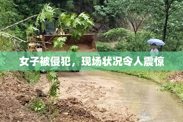女子被侵犯，现场状况令人震惊