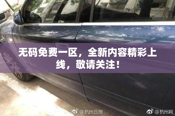 无码免费一区，全新内容精彩上线，敬请关注！