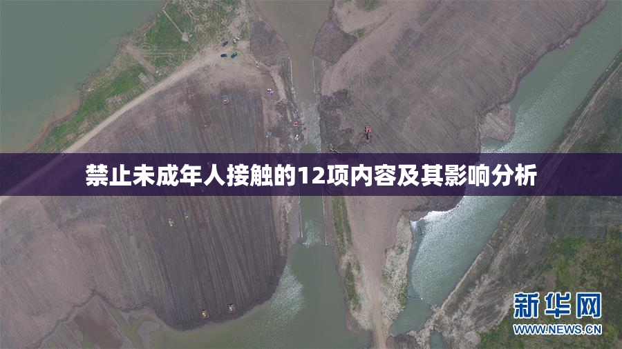 禁止未成年人接触的12项内容及其影响分析