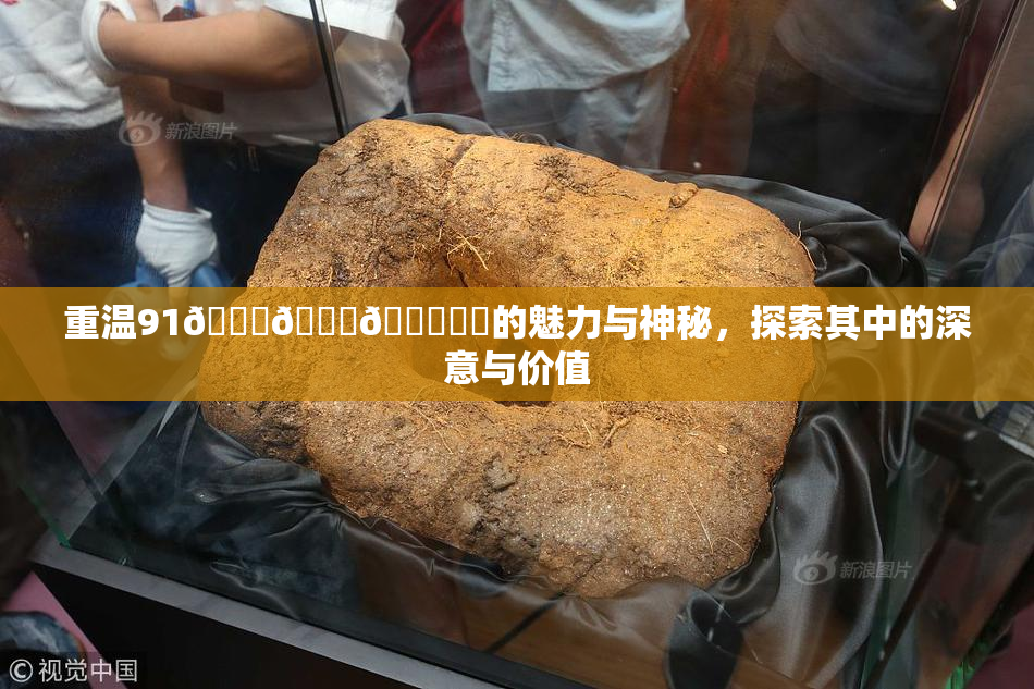 重温91🍆🍑🔞❌‌的魅力与神秘，探索其中的深意与价值