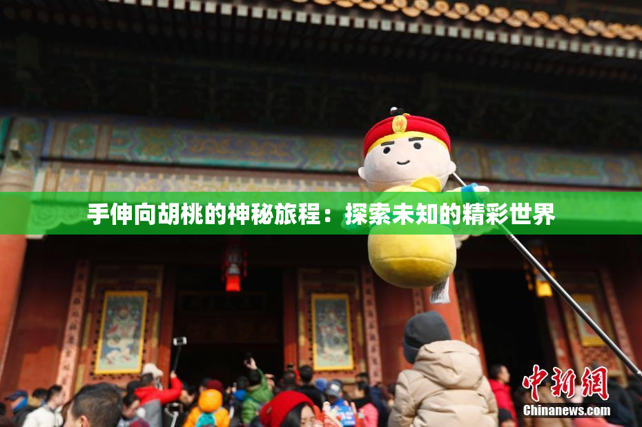 手伸向胡桃的神秘旅程：探索未知的精彩世界