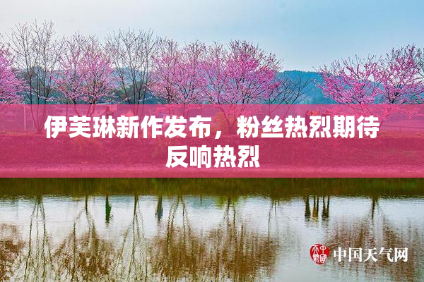 伊芙琳新作发布，粉丝热烈期待反响热烈