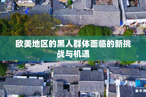 欧美地区的黑人群体面临的新挑战与机遇