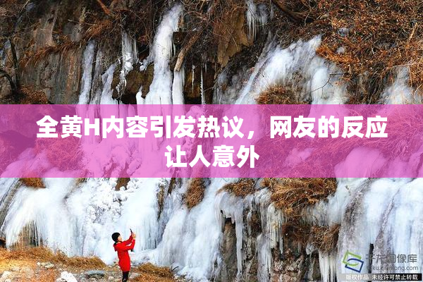 全黄H内容引发热议，网友的反应让人意外