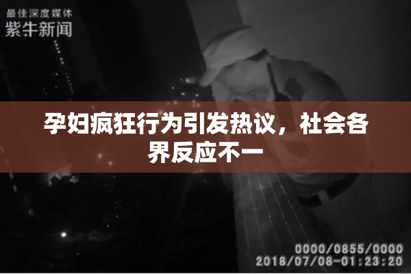 孕妇疯狂行为引发热议，社会各界反应不一