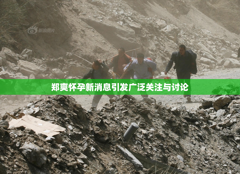 郑爽怀孕新消息引发广泛关注与讨论
