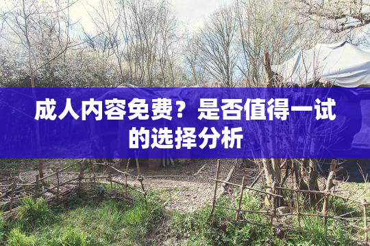 成人内容免费？是否值得一试的选择分析