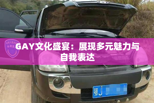 GAY文化盛宴：展现多元魅力与自我表达