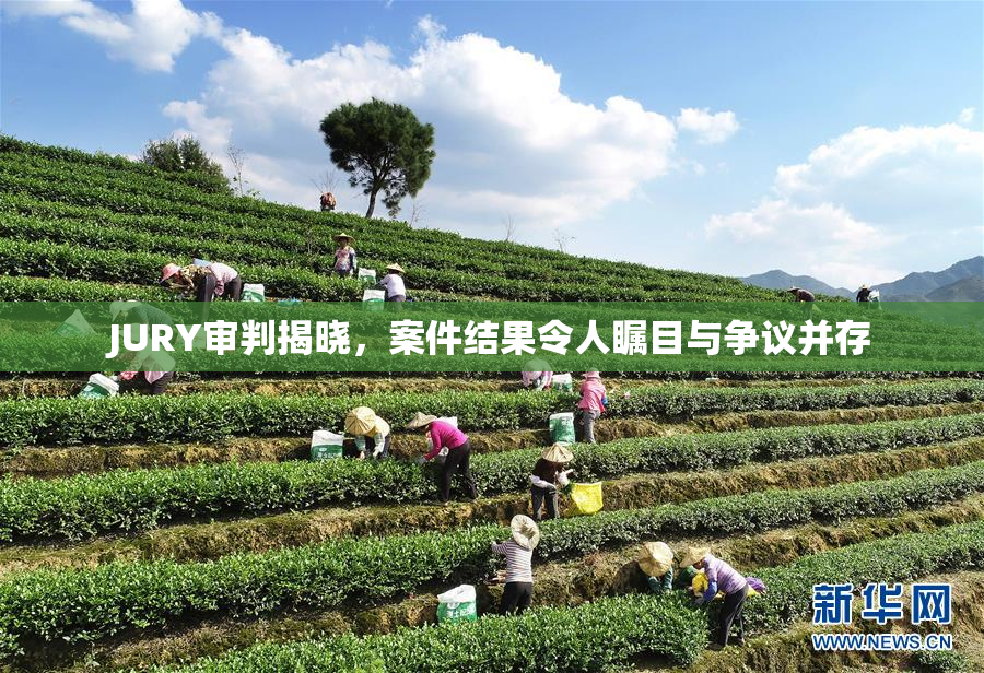 JURY审判揭晓，案件结果令人瞩目与争议并存
