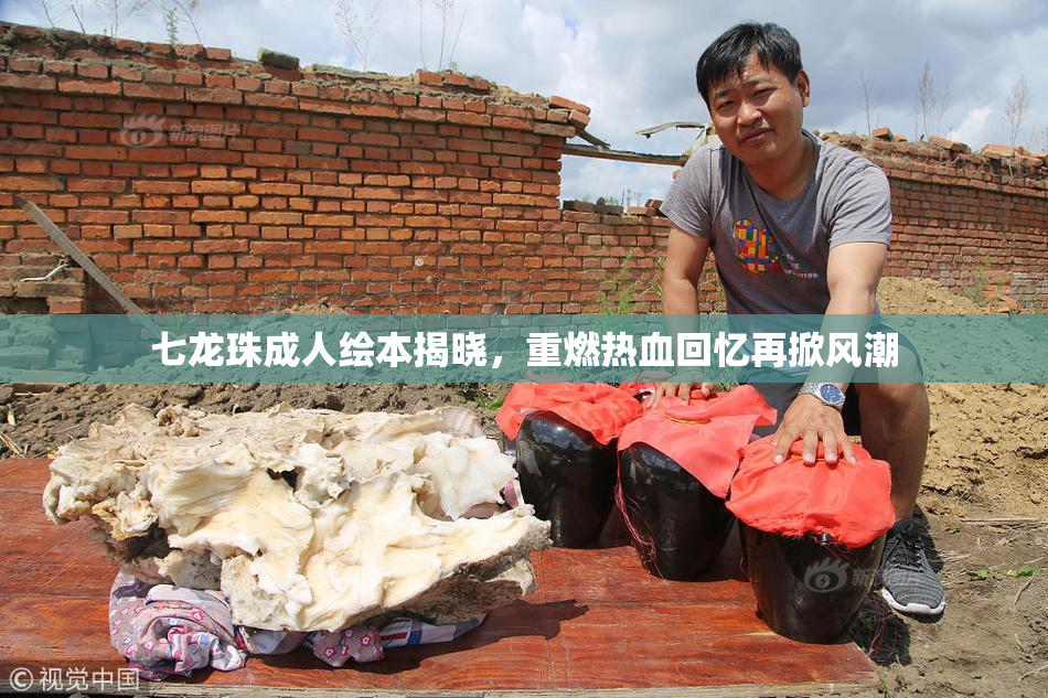 七龙珠成人绘本揭晓，重燃热血回忆再掀风潮