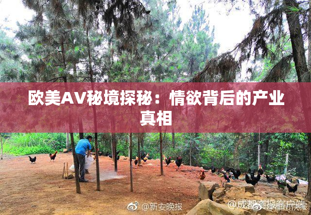 欧美AV秘境探秘：情欲背后的产业真相