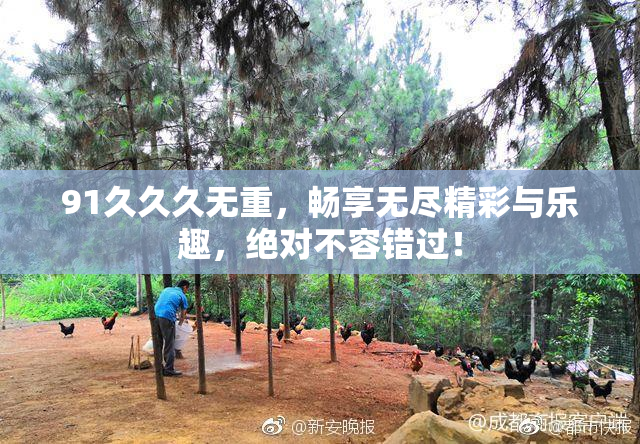 91久久久无重，畅享无尽精彩与乐趣，绝对不容错过！