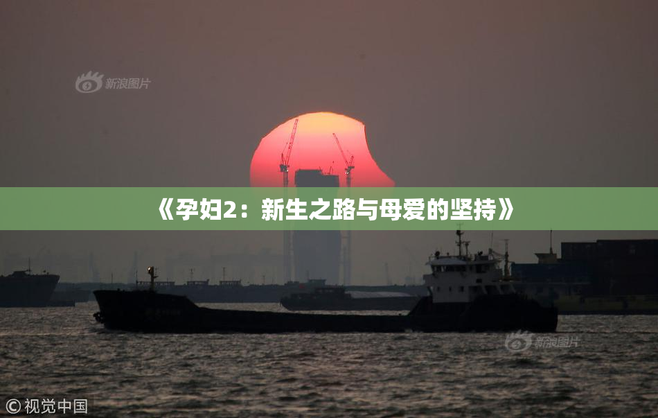 《孕妇2：新生之路与母爱的坚持》