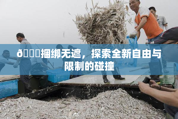🔞捆绑无遮，探索全新自由与限制的碰撞